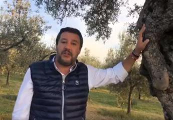 Salvini 'versione' Alberto Angela in Umbria