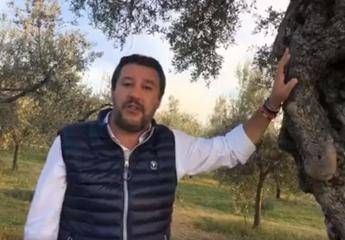 Salvini 'versione' Alberto Angela in Umbria Salvini 'versione' Alberto Angela in Umbria