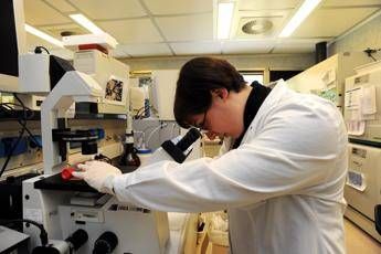 Biopsia liquida monitora-tumori, 'trial al Regina Elena' Biopsia liquida monitora-tumori, 'trial al Regina Elena'