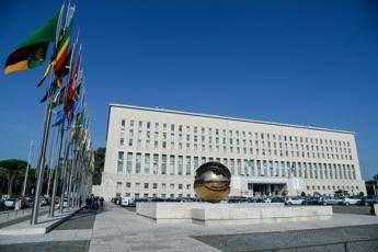 Soleimani, Farnesina: Sviluppi molto preoccupanti, agire con responsabilità Soleimani, Farnesina: Sviluppi molto preoccupanti, agire con responsabilità