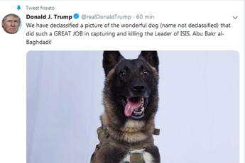 Trump twitta foto del cane ferito nel raid contro al-Baghdadi