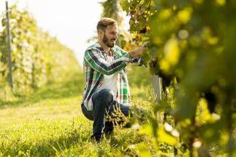 Bandiere Verdi, Cia premia l'agricoltura tra innovazione e tradizione Bandiere Verdi, Cia premia l'agricoltura tra innovazione e tradizione