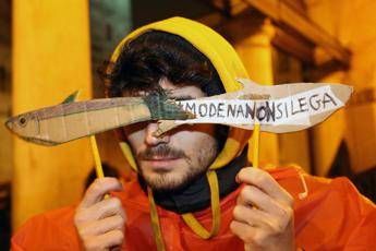 Manifesto delle Sardine: Cari populisti, avrete mal di mare Manifesto delle Sardine: Cari populisti, avrete mal di mare