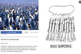 Pinguini contro Sardine, la sfida diventa 'bestiale' Pinguini contro Sardine, la sfida diventa 'bestiale'