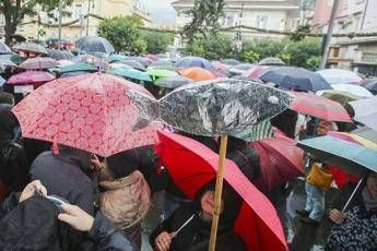 Sardine, il prof chiede scusa a studenti e colleghi