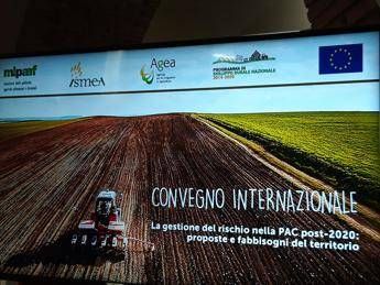 Ismea: con piano gestione rischi in agricoltura colte opportunità Omnibus Ismea: con piano gestione rischi in agricoltura colte opportunità Omnibus