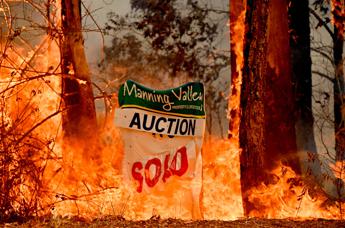 Incendi in Australia: Emergenza catastrofica