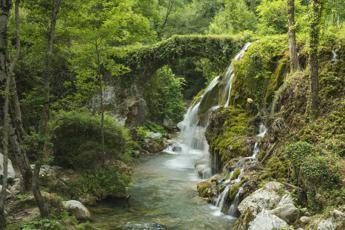 Parchi per il clima, dal ministero dell'Ambiente 100 milioni Parchi per il clima, dal ministero dell'Ambiente 100 milioni