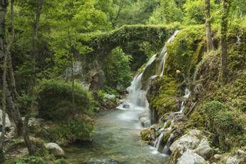 Parchi per il clima, dal ministero dell'Ambiente 100 milioni