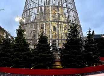 Consigliere M5S: Albero di Natale a Milano è gabbia per piccioni