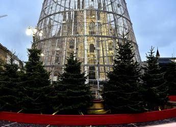 Consigliere M5S: Albero di Natale a Milano è gabbia per piccioni