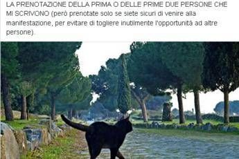 Sardine a Roma, B&B offre camera gratis Sardine a Roma, B&B offre camera gratis