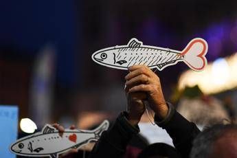 Sardine, i 4 fondatori: Nostre piazze antifasciste Sardine, i 4 fondatori: Nostre piazze antifasciste