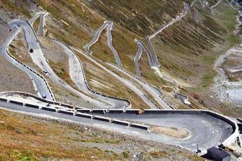 Tumori, Paolo con cancro al polmone ha scalato lo Stelvio in bici Tumori, Paolo con cancro al polmone ha scalato lo Stelvio in bici
