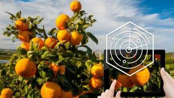 Openjobmetis, 1.000 opportunità lavoro nell'agroalimentare Openjobmetis, 1.000 opportunità lavoro nell'agroalimentare