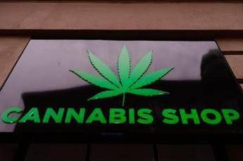 Cannabis light, ok a vendita se thc sotto 0,5% Cannabis light, ok a vendita se thc sotto 0,5%