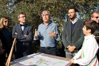 Nasce il 'Bosco delle Troiane' a Siracusa, piantati mille alberi Nasce il 'Bosco delle Troiane' a Siracusa, piantati mille alberi