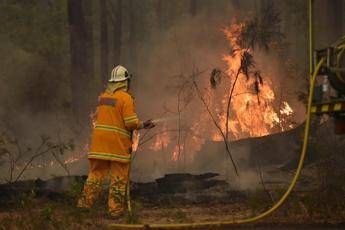 Australia brucia, 14 morti per incendi Australia brucia, 14 morti per incendi