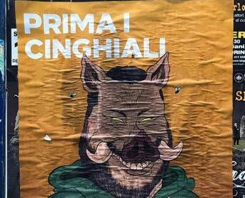 Salvini è un cinghiale sui manifesti, lui: Insulti come medaglie Salvini è un cinghiale sui manifesti, lui: Insulti come medaglie