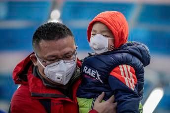 Virus Cina, 'colpa' dei pipistrelli? Virus Cina, 'colpa' dei pipistrelli?