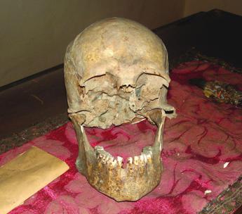Cranio misterioso, dal primo studio nuovi indizi su Plinio il Vecchio