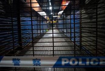 Virus Cina, il medico da Wuhan: Tutto è iniziato così Virus Cina, il medico da Wuhan: Tutto è iniziato così