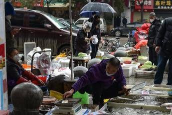 Virus Cina, mercato Wuhan potrebbe essere scagionato Virus Cina, mercato Wuhan potrebbe essere scagionato