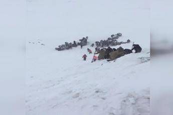 Valanga fa strage in Turchia Valanga fa strage in Turchia