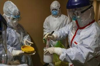 Virus, basta disinfettare superfici per neutralizzarlo Virus, basta disinfettare superfici per neutralizzarlo