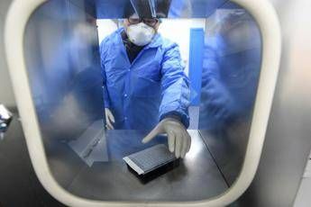 Coronavirus arriva in Africa, primo caso in Egitto Coronavirus arriva in Africa, primo caso in Egitto