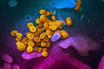 Coronavirus, dagli Usa il primo ritratto in 5 foto a colori/GALLERY