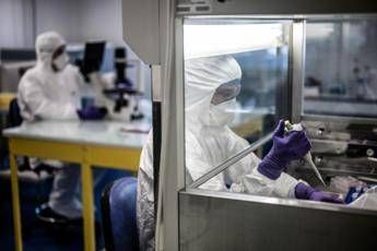 Coronavirus, Oms: Cane positivo, attendiamo conferme Coronavirus, Oms: Cane positivo, attendiamo conferme
