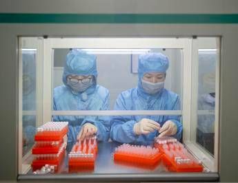 Coronavirus, Guerra (Oms): Vaccino arriverà a inizio 2021 Coronavirus, Guerra (Oms): Vaccino arriverà a inizio 2021