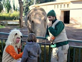 Animali: anche la Bioparco di Roma festa di carnevale