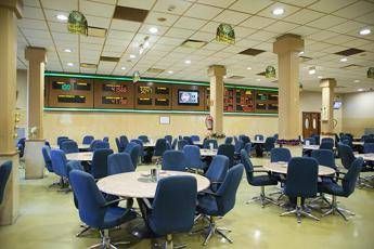 Codere genera 45 mln di cassa in più nel 2019 Codere genera 45 mln di cassa in più nel 2019