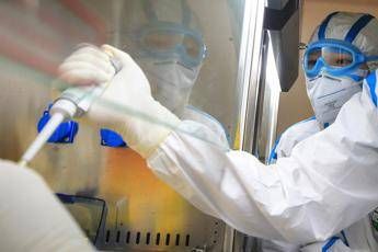 Coronavirus, 50 progetti per vaccino nel mondo Coronavirus, 50 progetti per vaccino nel mondo