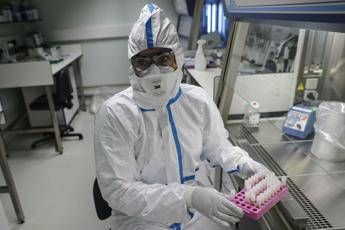 Cina, uomo muore di hantavirus: è trasmesso da roditori Cina, uomo muore di hantavirus: è trasmesso da roditori