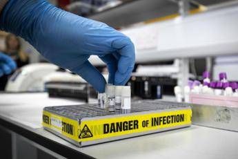 Coronavirus, scienziati denunciano guru online: Tesi complottistiche Coronavirus, scienziati denunciano guru online: Tesi complottistiche