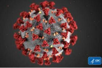 Coronavirus 24 ore su cartone, fino a 3 giorni su plastica Coronavirus 24 ore su cartone, fino a 3 giorni su plastica
