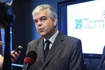 Ferraris: 'Ottimo 2019, con piano prosegue sviluppo rete elettrica' Ferraris: 'Ottimo 2019, con piano prosegue sviluppo rete elettrica'
