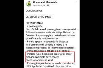 Il cane a passeggio? Deve essere vivo, la precisazione del comune sardo Il cane a passeggio? Deve essere vivo, la precisazione del comune sardo