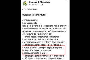 Il cane a passeggio? Deve essere vivo, la precisazione del comune sardo