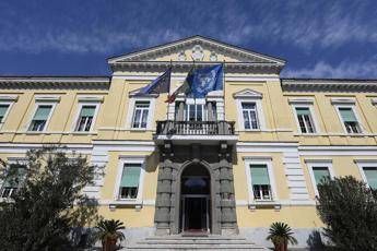 Vaccino Covid italiano, Ippolito: Efficace come Pfizer e Moderna Vaccino Covid italiano, Ippolito: Efficace come Pfizer e Moderna