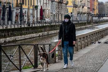 Coronavirus, cani non contraggono né trasmettono la malattia