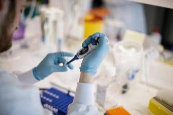 Coronavirus, 10 motivi contro 'passaporto d'immunità': analisi su Nature Coronavirus, 10 motivi contro 'passaporto d'immunità': analisi su Nature