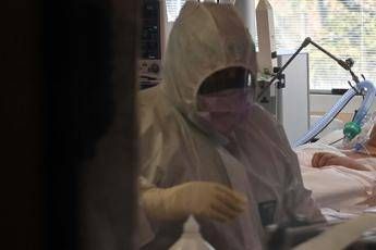 Coronavirus, Ascierto: Tra fine aprile e maggio dati anti-artrite Coronavirus, Ascierto: Tra fine aprile e maggio dati anti-artrite