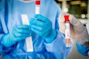 Coronavirus, tamponi e test si sbagliano? Parola agli esperti Coronavirus, tamponi e test si sbagliano? Parola agli esperti