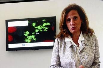 Ilaria Capua, il tweet dopo stop vaccino AstraZeneca: Ecco fatto