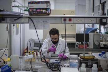 Lopalco: Non serve mettere il turbo al vaccino Lopalco: Non serve mettere il turbo al vaccino