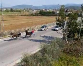 Sora, corsa clandestina di cavalli per strada durante lockdown Sora, corsa clandestina di cavalli per strada durante lockdown